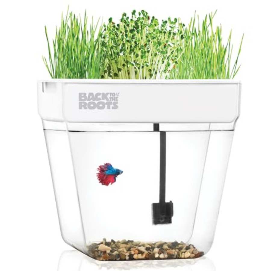 Self-Watering Planter - Indoor aquaponic garden: 3-gallon self-watering, mess-free