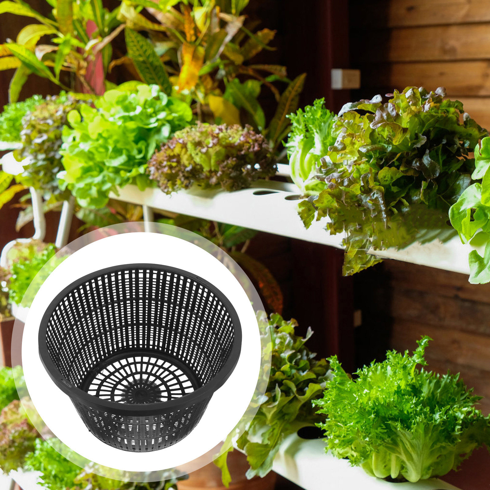 Hydroponic System - 4pcs Hydroponic Net Pots 5 Inch