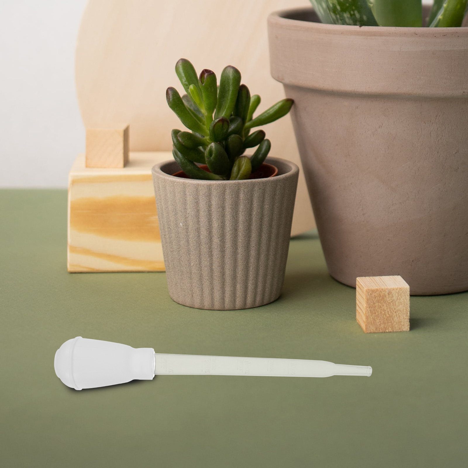 Gardening Tools You Must Have - 2Pcs Water Sucker for Plant Saucer