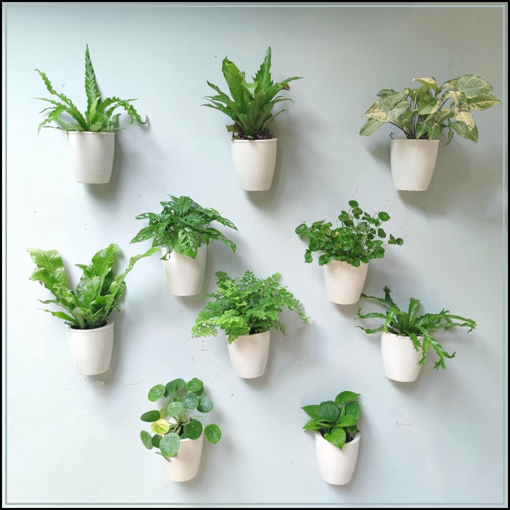 Self-Watering Planter - 10-Pack Self-Watering Wall Planters for Indoor