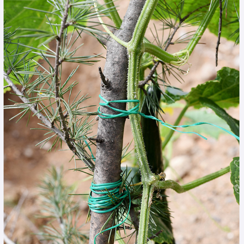 Garden Twist Ties Multifunctio - Garden Wire Twist Tie ulasan dan harga