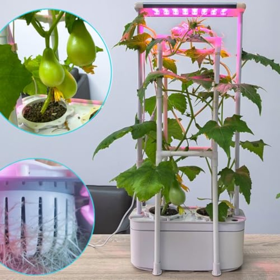 Hydroponics Growing System kit - Hydroponic System ulasan dan harga