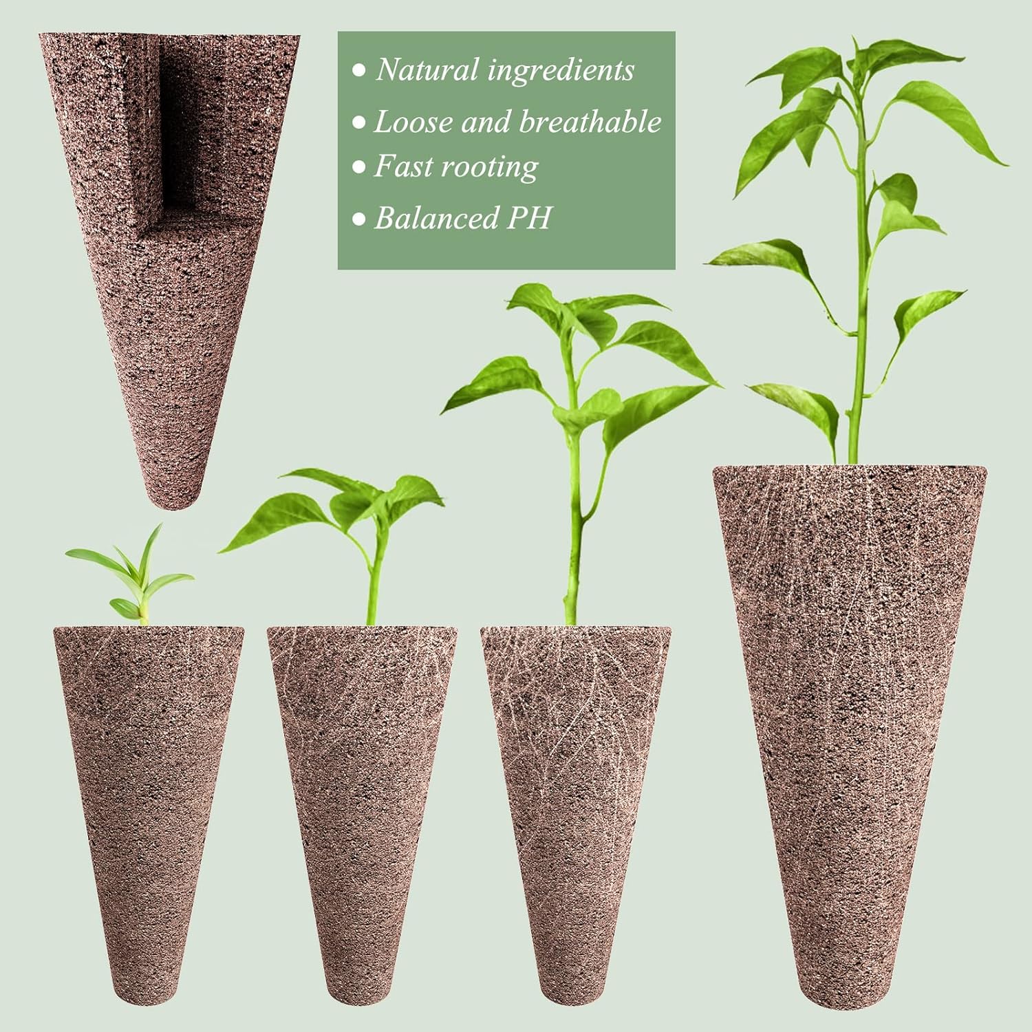 66pcs Hydroponic Seed Pod Kit  - Hydroponic System ulasan dan harga