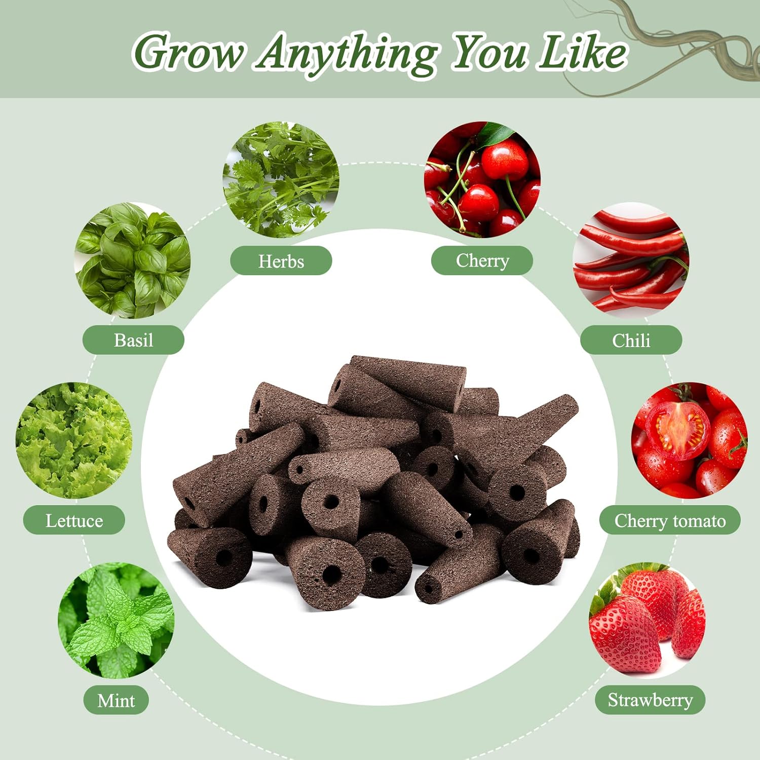66pcs Hydroponic Seed Pod Kit  - Hydroponic System ulasan dan harga