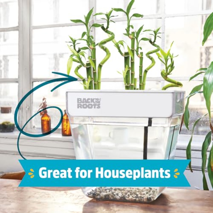 Indoor aquaponic garden: 3-gal - Self-Watering Planter ulasan dan harga