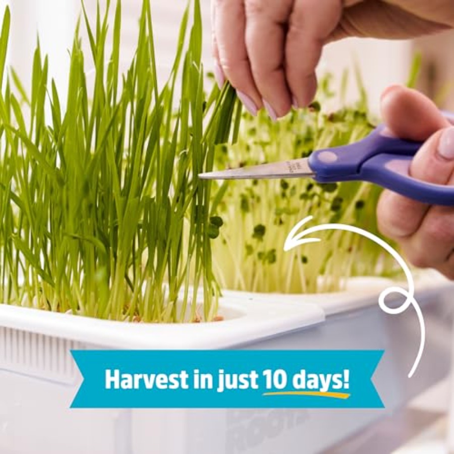 Indoor aquaponic garden: 3-gal - Self-Watering Planter ulasan dan harga