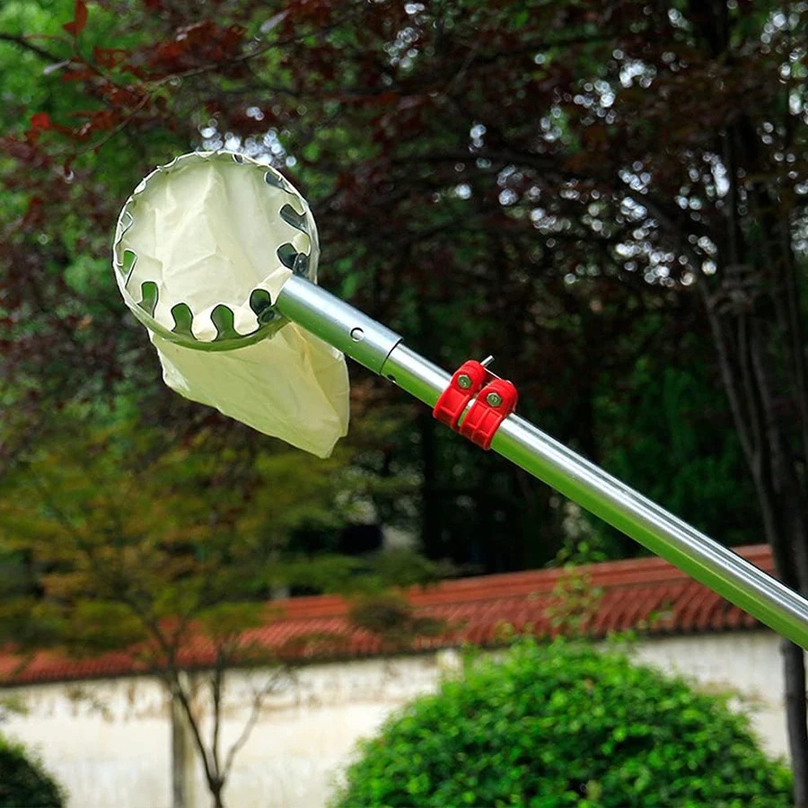 3-in-1 Fruit Harvesting Tool S - Gardening Tools Equipment ulasan dan harga