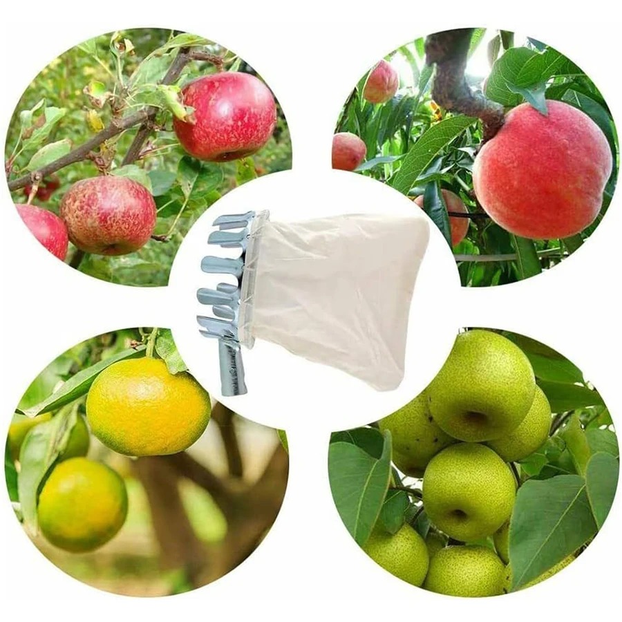 3-in-1 Fruit Harvesting Tool S - Gardening Tools Equipment ulasan dan harga