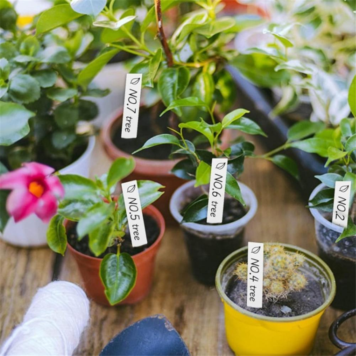 【Must-haves】Gardening tool - Gardening Tools You Must Have ulasan dan harga