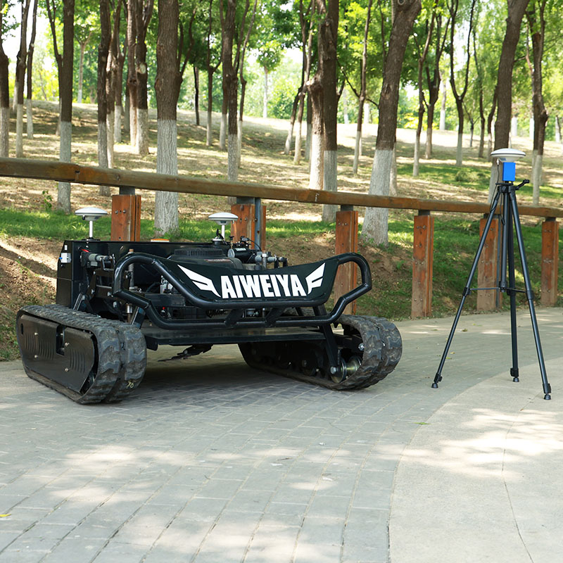 Customized RC Lawn Mower with  - Gardening Tools For Elderly ulasan dan harga