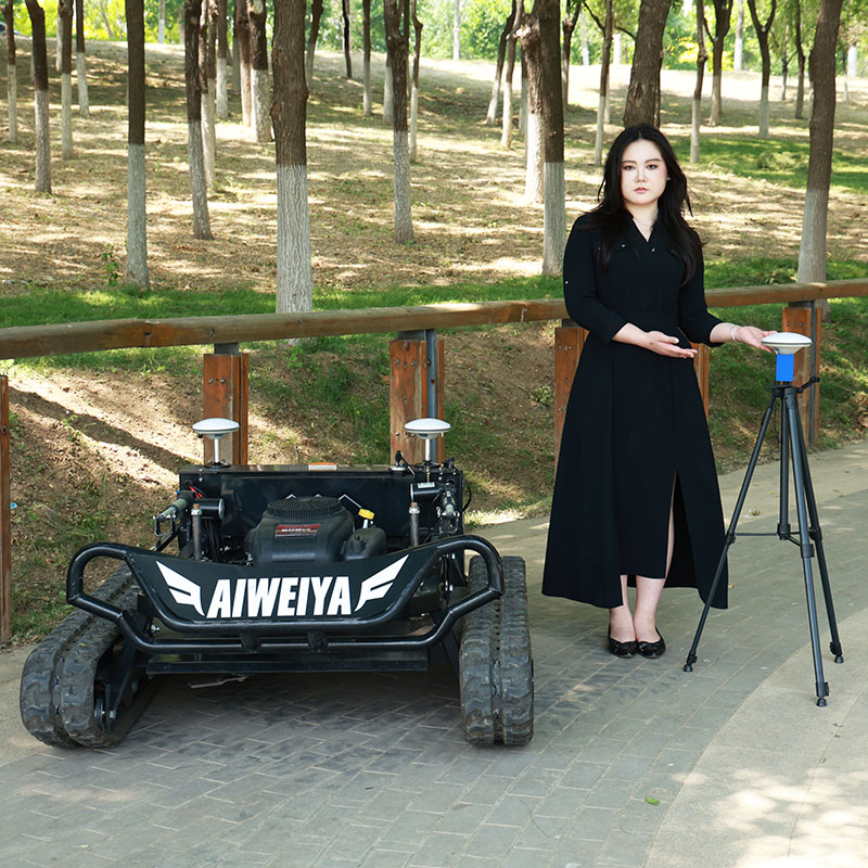 Customized RC Lawn Mower with  - Gardening Tools For Elderly ulasan dan harga
