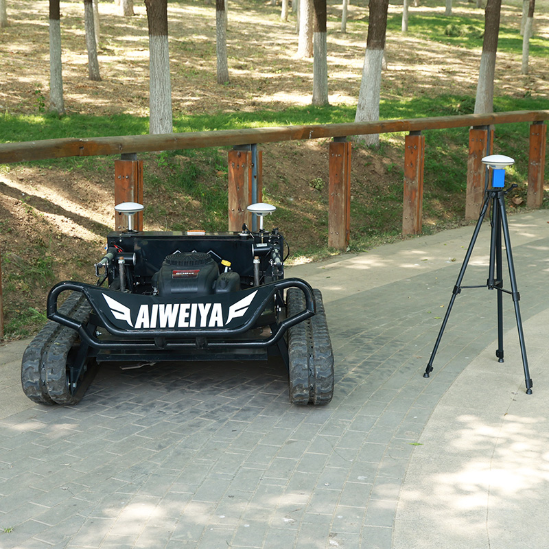 Customized RC Lawn Mower with  - Gardening Tools For Elderly ulasan dan harga