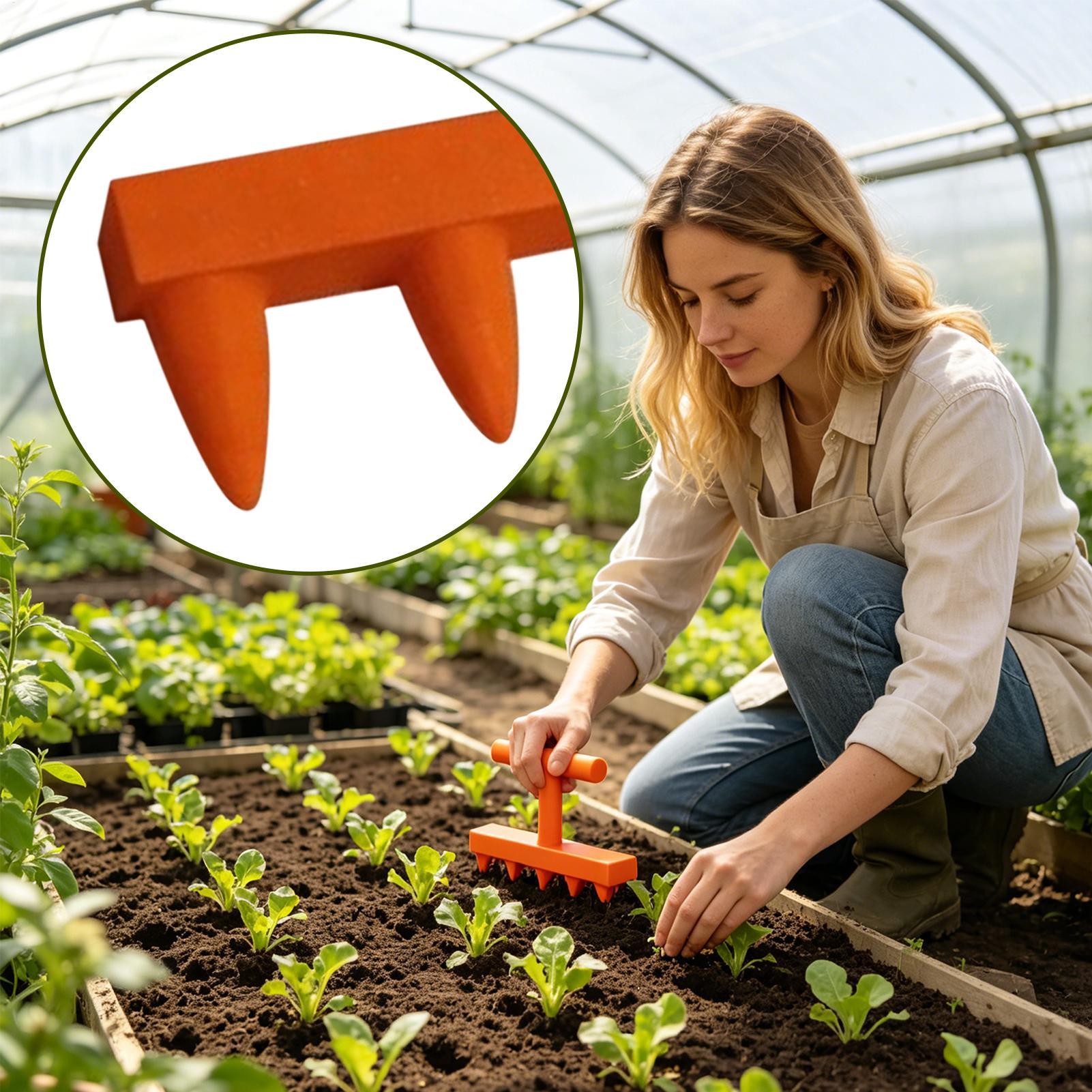 Five-Tooth Seedling Dibbling T - Gardening Tools For Elderly ulasan dan harga