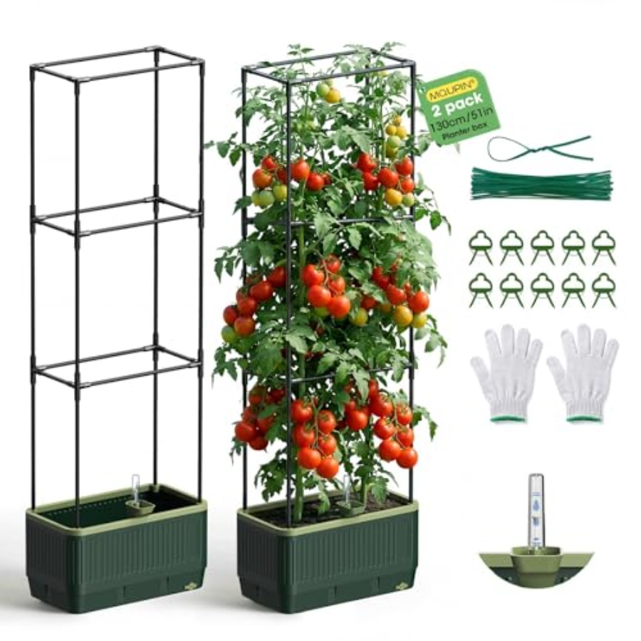 Pack Raised Garden Bed Tomato  - Self-Watering Planter ulasan dan harga