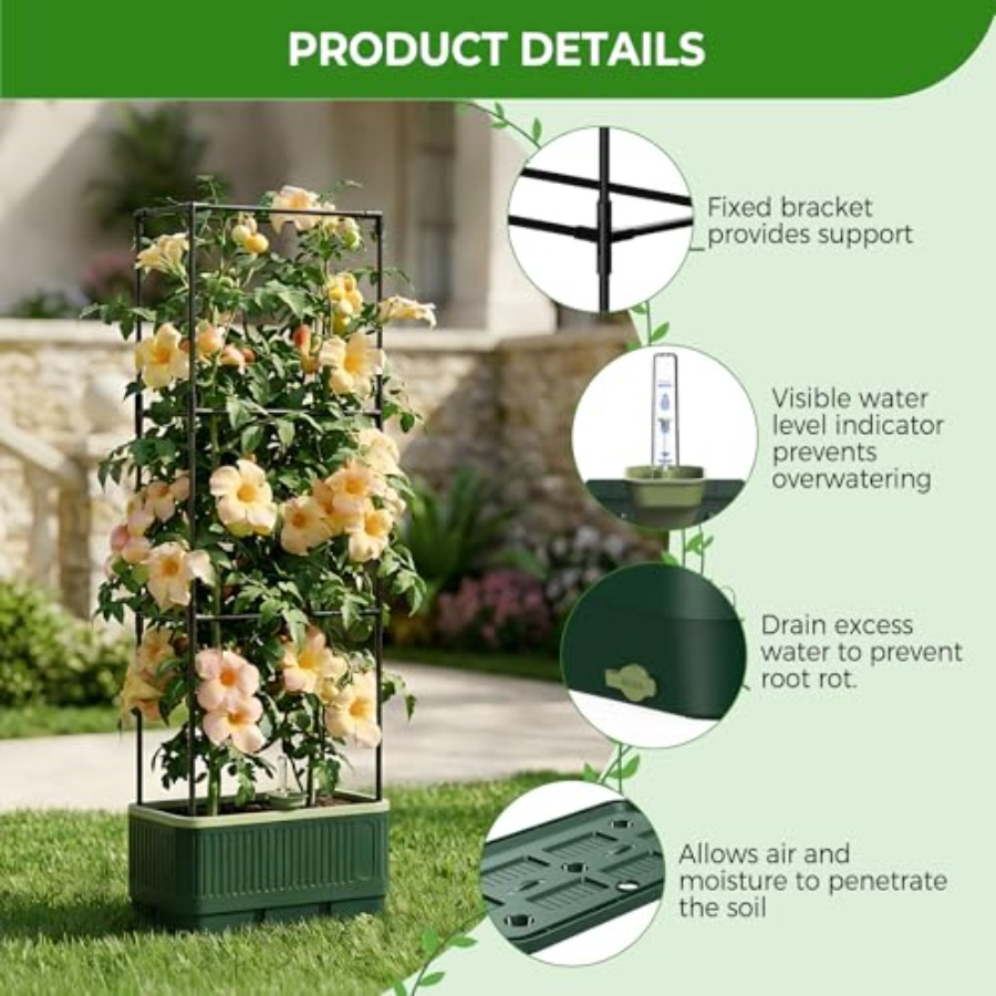 Pack Raised Garden Bed Tomato  - Self-Watering Planter ulasan dan harga