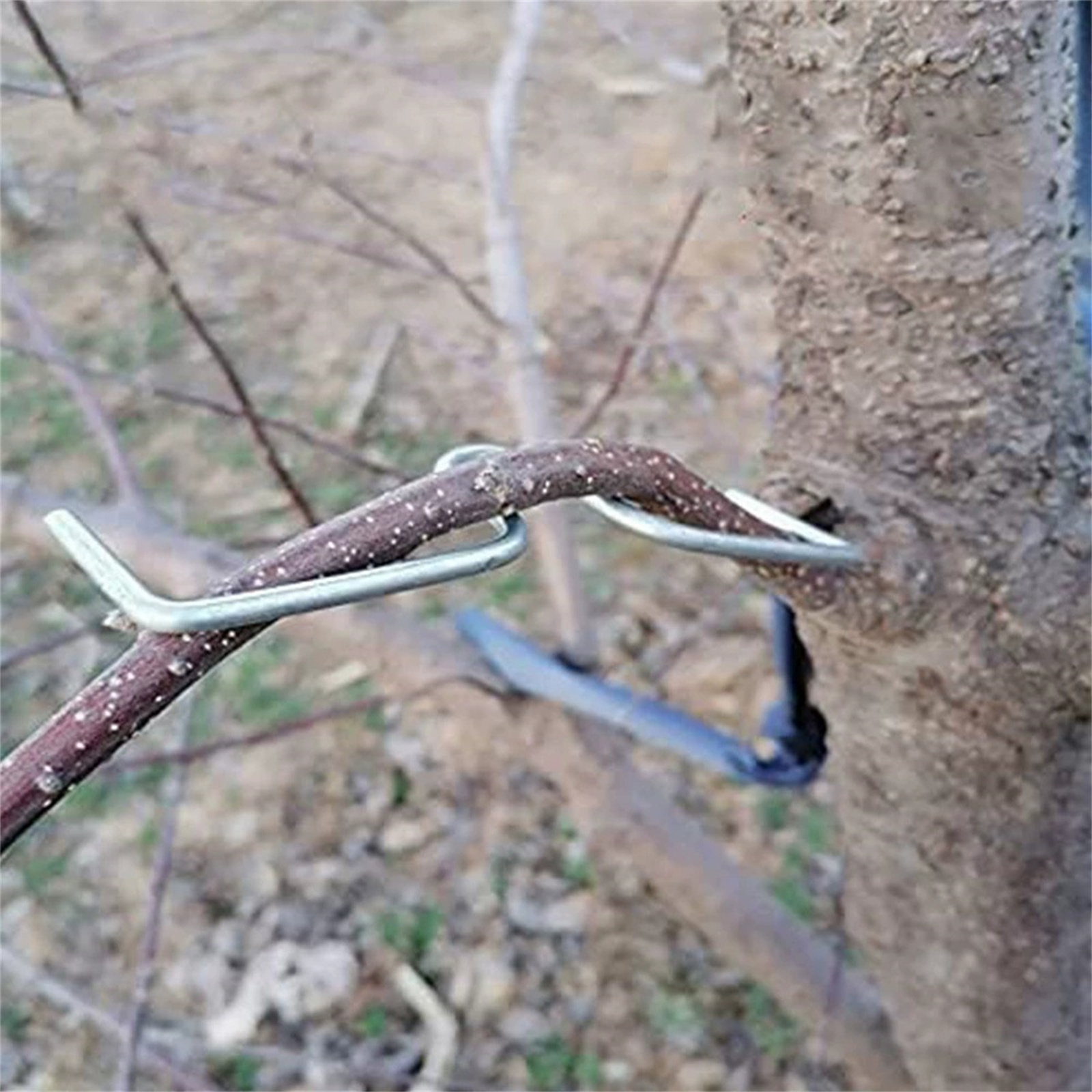 Fruit Tree Branch Bender Metal - Gardening Tools You Must Have ulasan dan harga