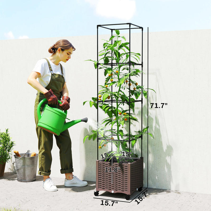Raised Garden Bed with Trellis - Self-Watering Planter ulasan dan harga