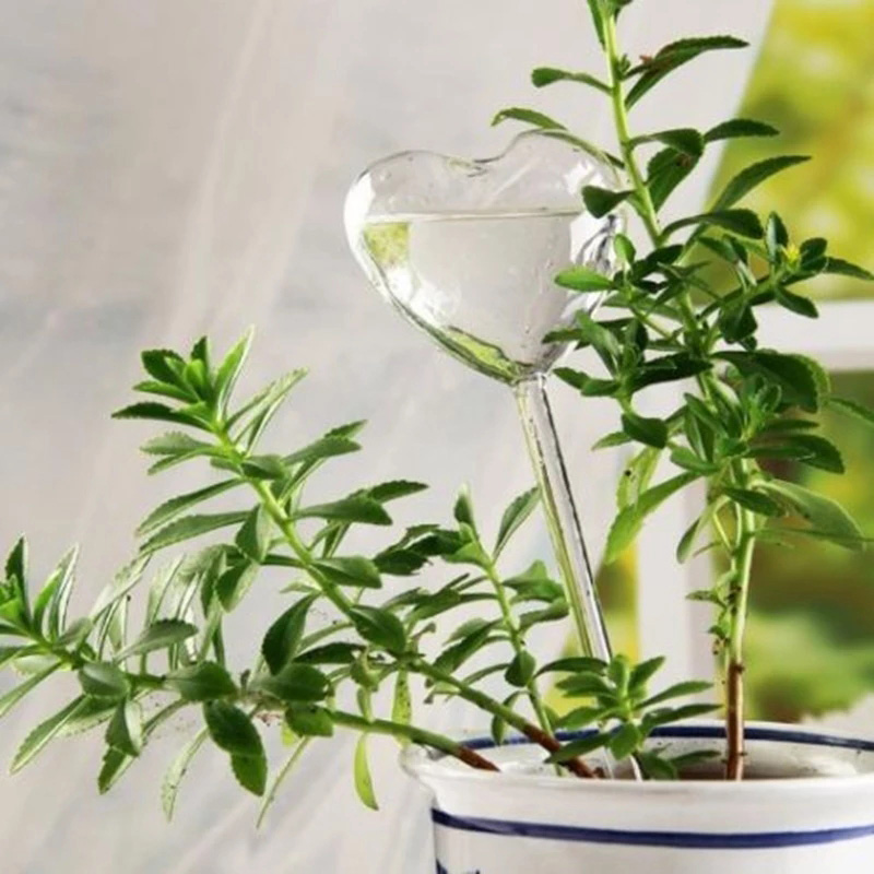 House/Garden Water Houseplant  - Gardening Tools Equipment ulasan dan harga