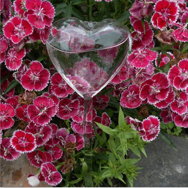 House/Garden Water Houseplant  - Gardening Tools Equipment ulasan dan harga