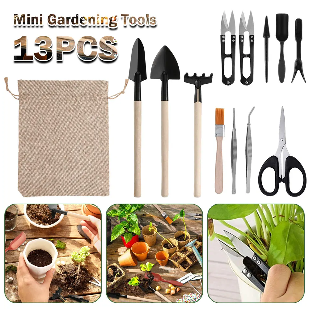13PCS Succulent Plants Tool Se - Gardening Tools Sale ulasan dan harga