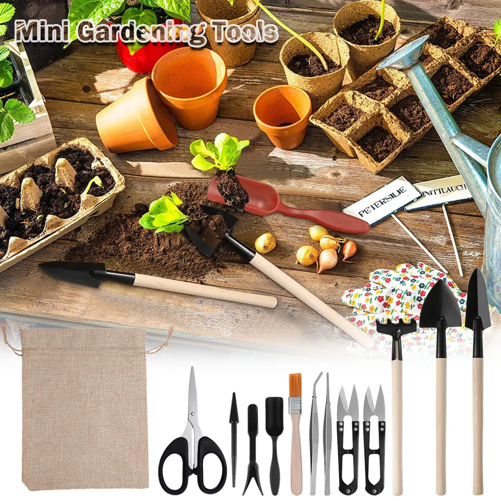 13PCS Succulent Plants Tool Se - Gardening Tools Sale ulasan dan harga