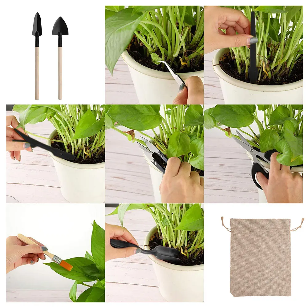 13PCS Succulent Plants Tool Se - Gardening Tools Sale ulasan dan harga