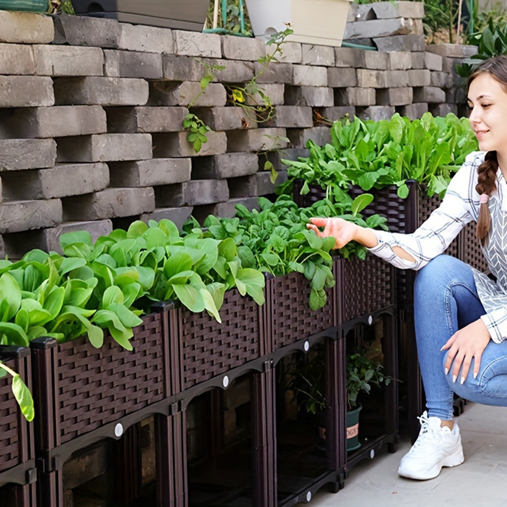Raised Garden Bed Elevated Pla - Self-Watering Planter ulasan dan harga