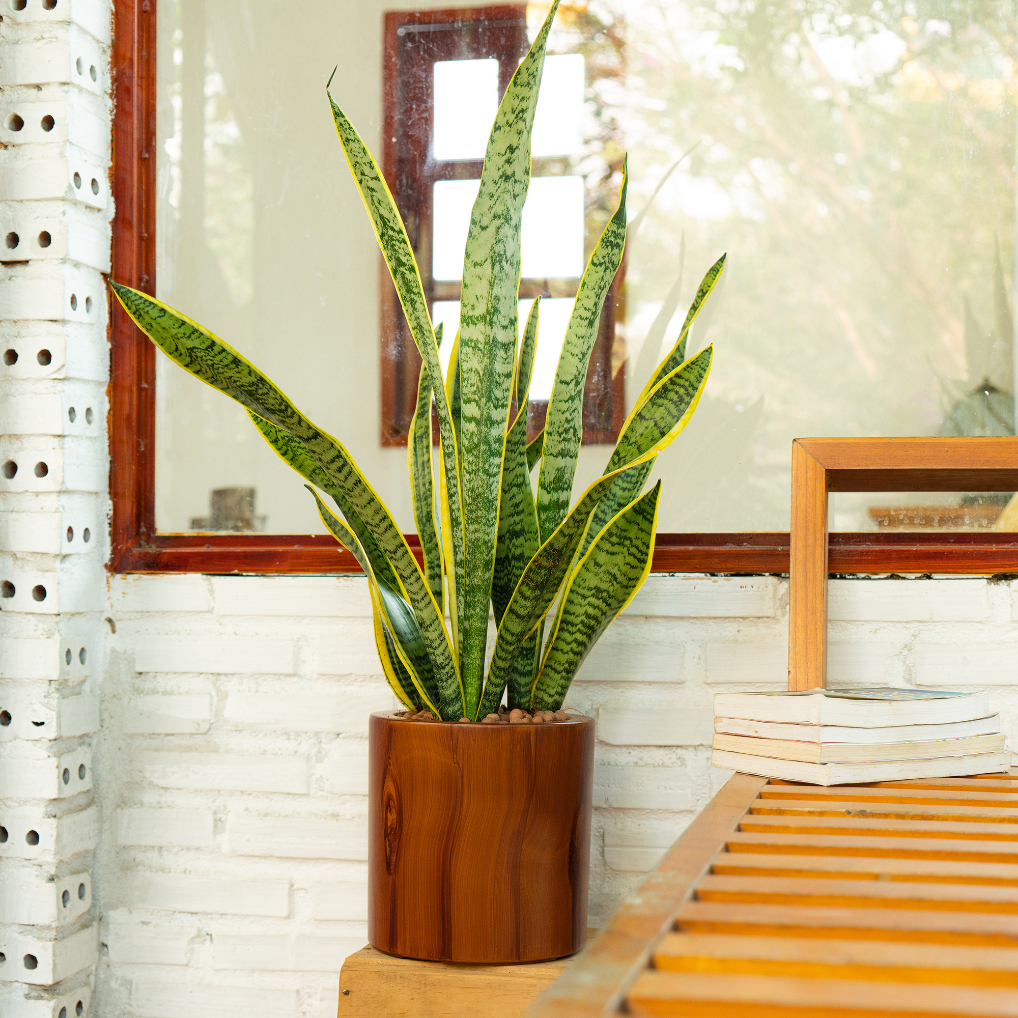 7.8 in. Dark Wood Plastic Self - Self-Watering Planter ulasan dan harga