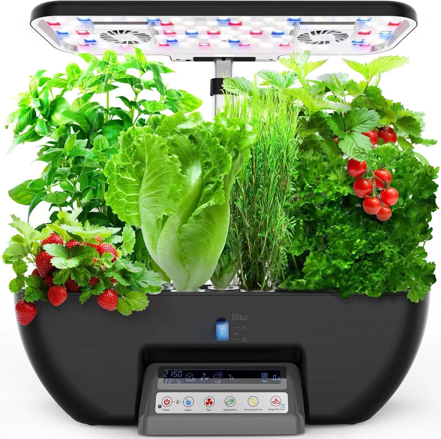 Multi-function Planting System - Hydroponic System ulasan dan harga