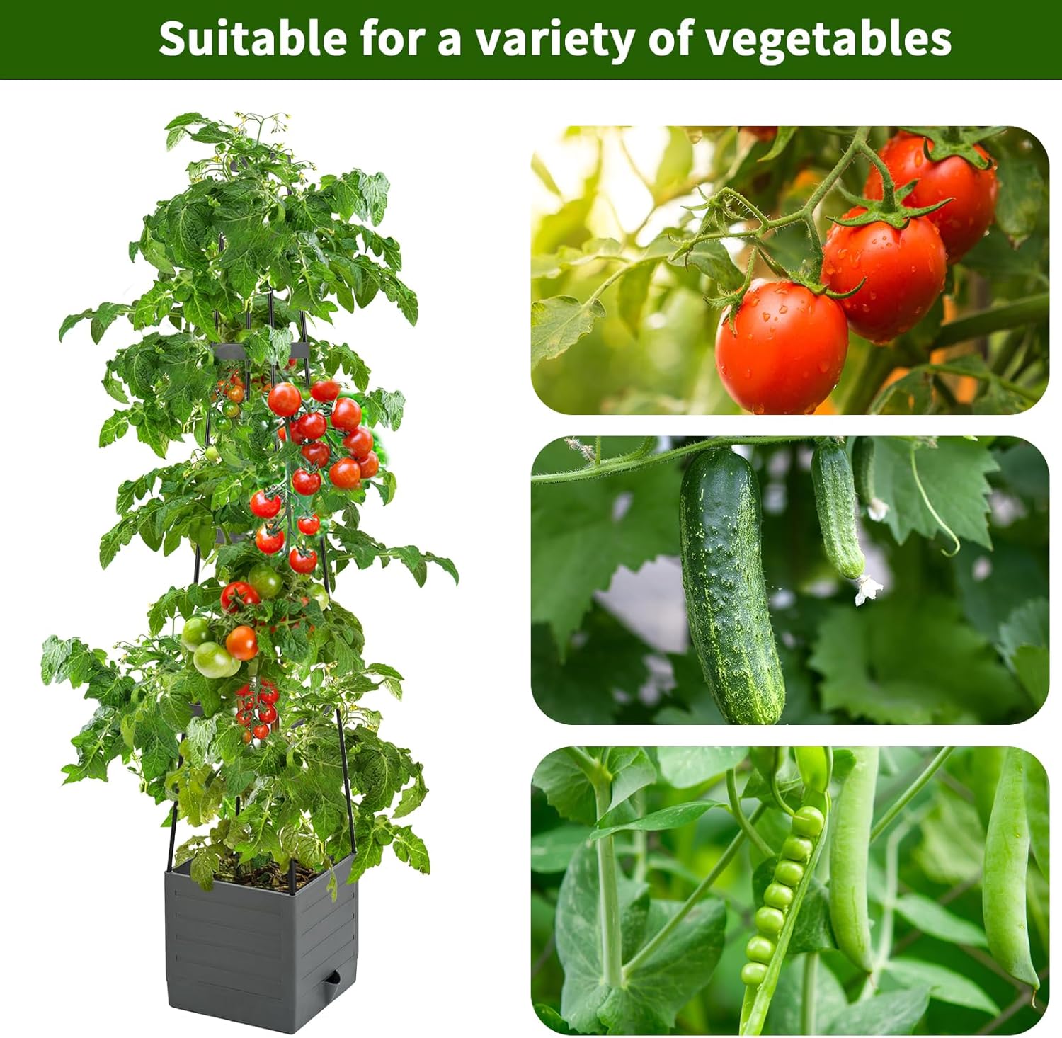 Raised Garden Bed Planter Box  - Self-Watering Planter ulasan dan harga