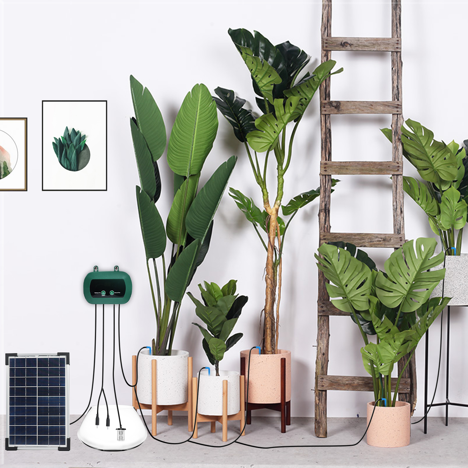 Solar Hydroponics Equipment  M - Hydroponic System ulasan dan harga