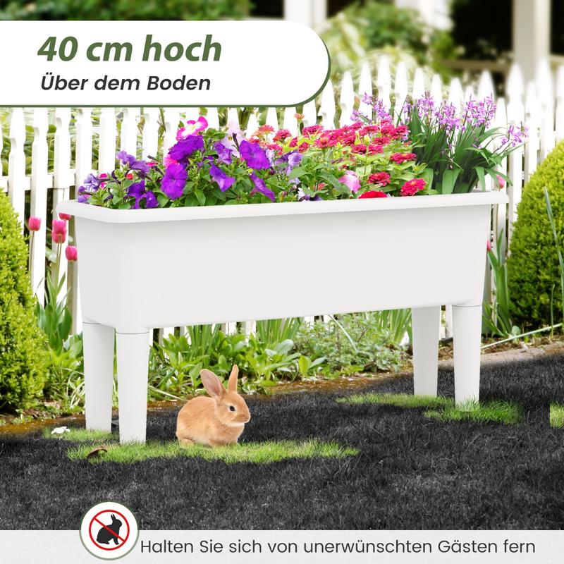 2 PCS Raised Garden Beds Self- - Self-Watering Planter ulasan dan harga