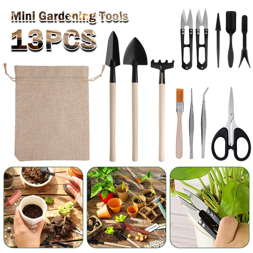Succulent Plants Tools Mini Ga - Gardening Tools Sale ulasan dan harga
