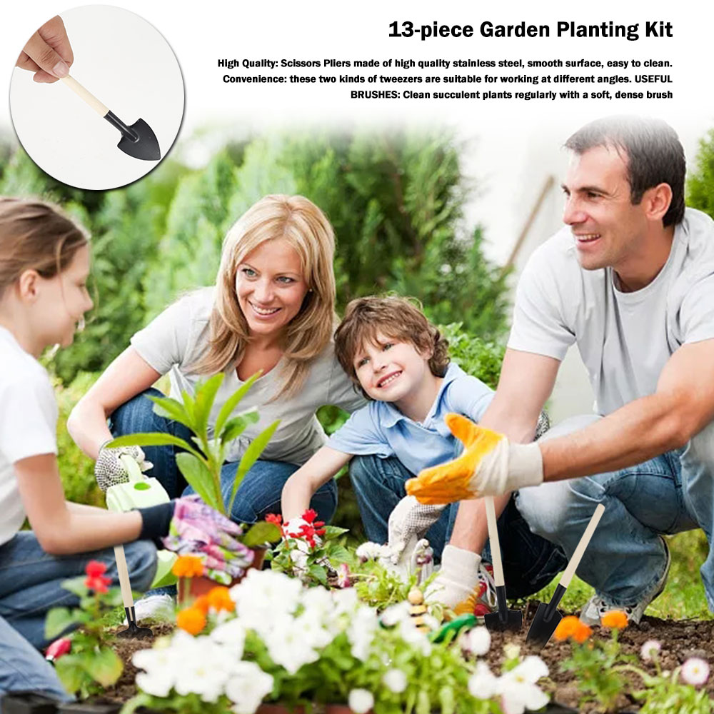 Succulent Plants Tools Mini Ga - Gardening Tools Sale ulasan dan harga
