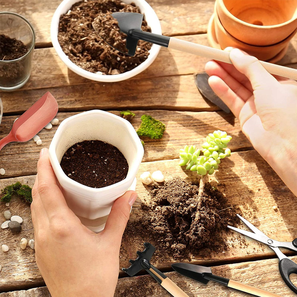 Succulent Plants Tools Mini Ga - Gardening Tools Sale ulasan dan harga