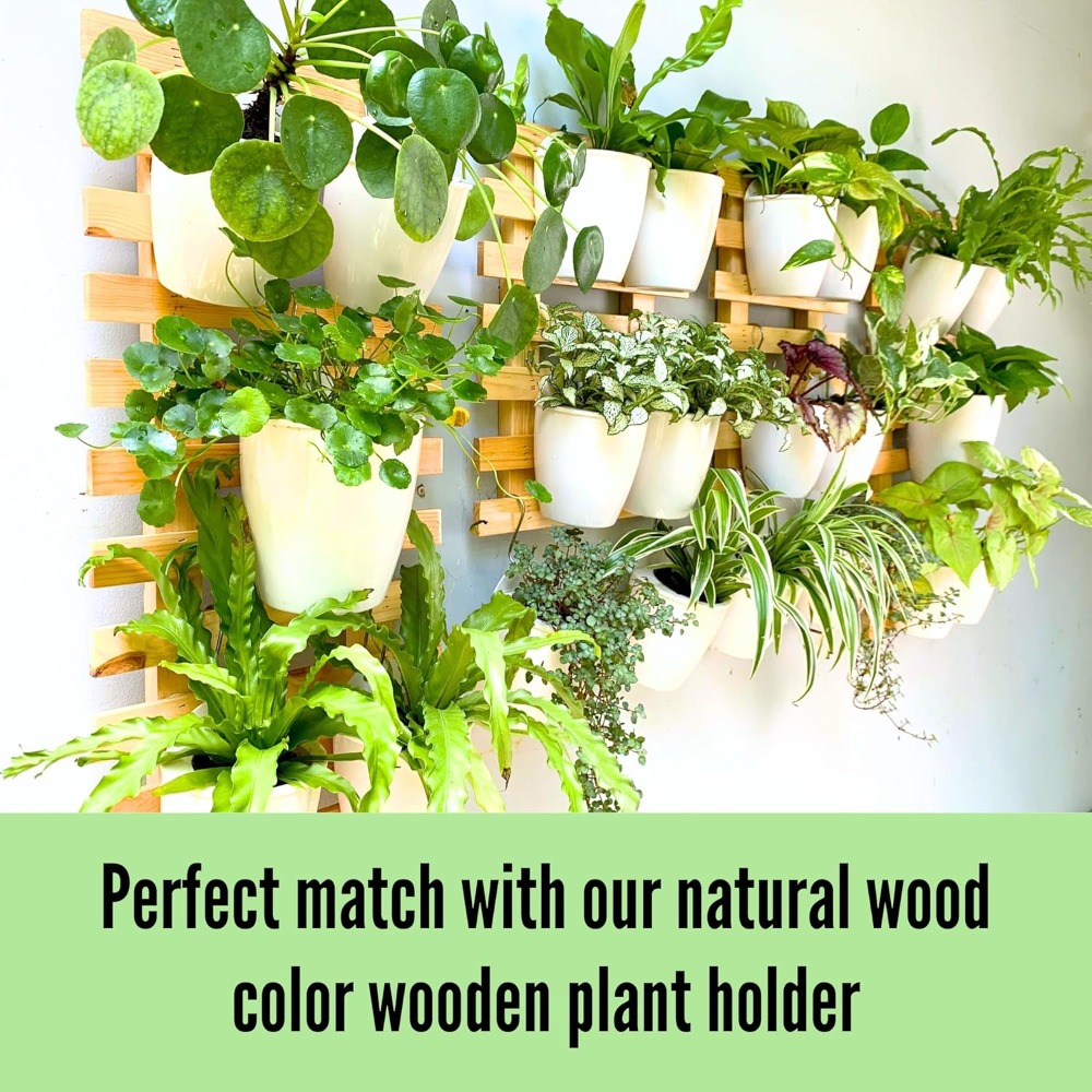 10-Pack Self-Watering Wall Pla - Self-Watering Planter ulasan dan harga