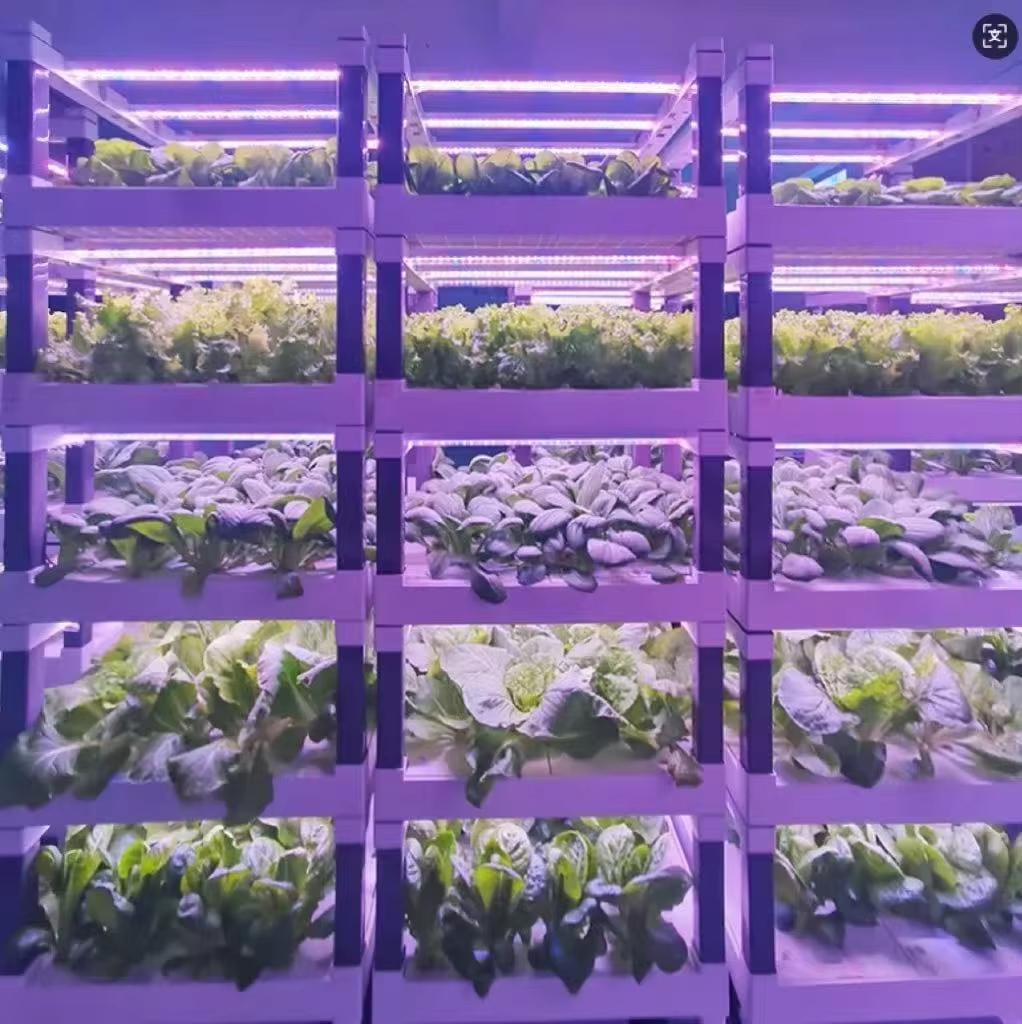 Hydroponic Grow System Greenho - Hydroponic System ulasan dan harga