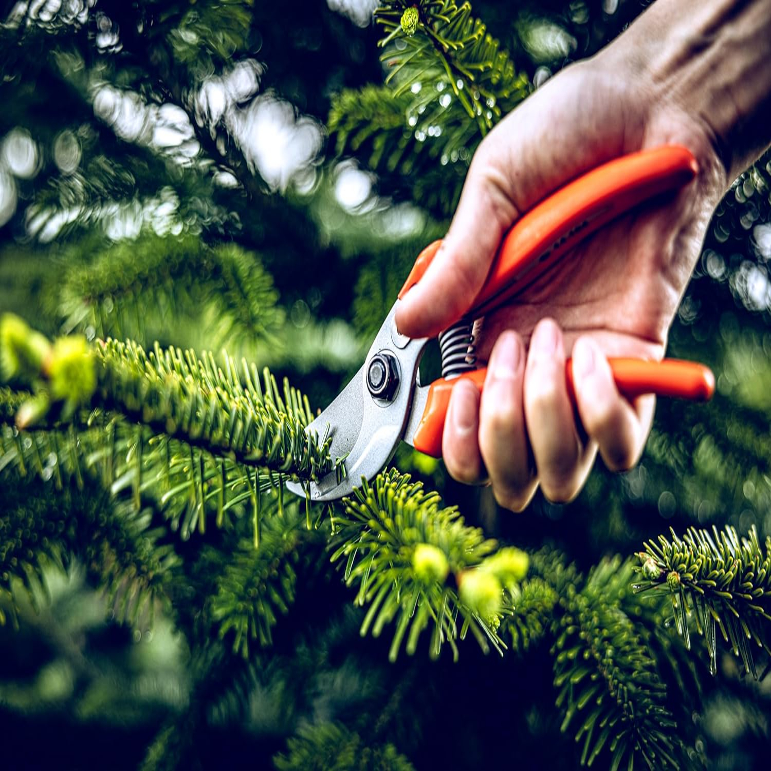 Versatile, Durable, and Precis - Gardening Tools You Must Have ulasan dan harga