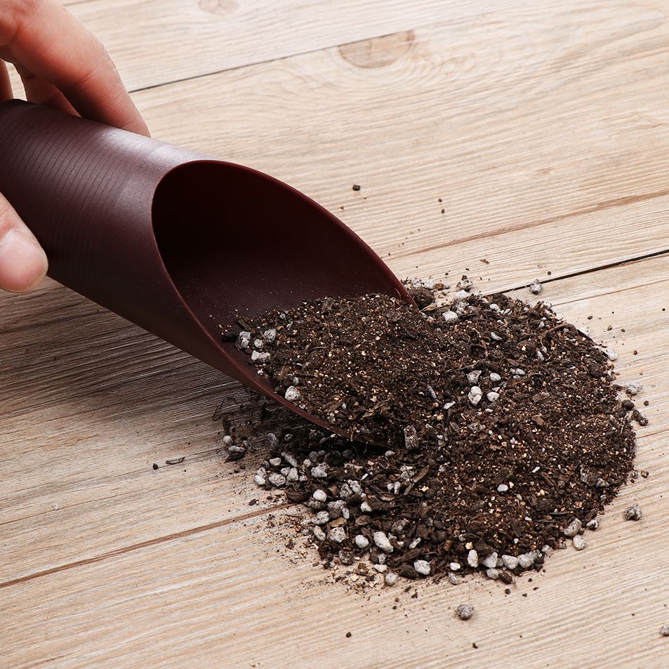 1PC Plastic Soil Shovel Cup Fo - Gardening Tools Sale ulasan dan harga